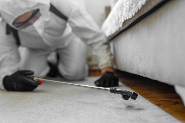 Professional Termite Control technician working in Seaford, NY