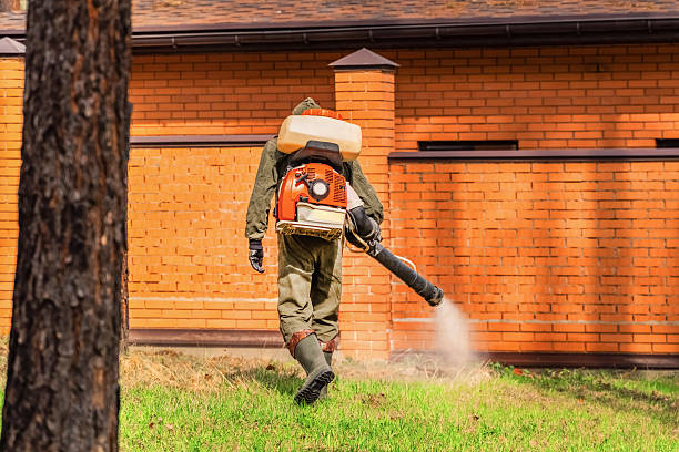 Trusted Rodent Control service in Seaford, NY - Nex Pest Control